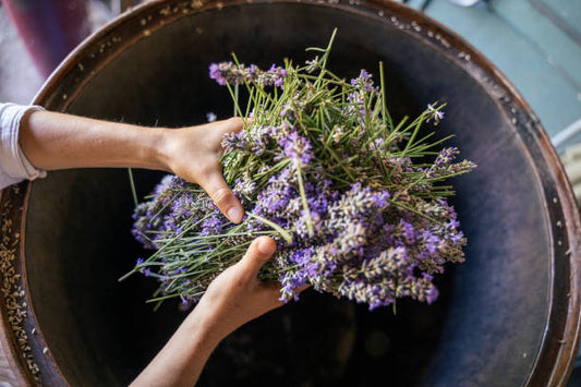 The Aromatic Wonders: Unveiling The Art of Essential Oil Making